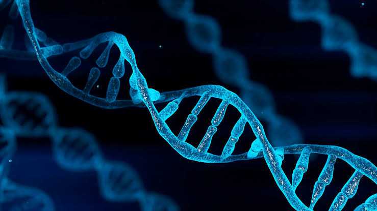 ফিলোসোফি অব বায়োলজিতে ‘ফাংশন’ এর ধারণা, Junk DNA বনাম ENCODE Project: বৈজ্ঞানিক বিশ্লেষণ