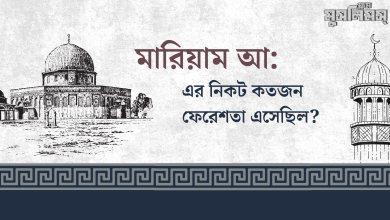 মারিয়াম (আঃ)-এর কাছে কতজন ফেরেশতা এসেছিল?
