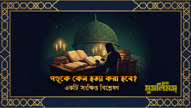 পশুর সাথে অপকর্মে পশুকে কেন হত্যা করা হবে?